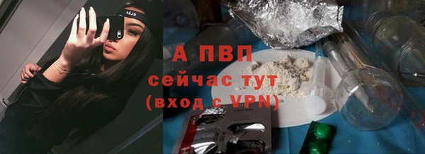 амф Арсеньев