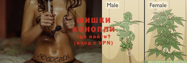 дурь Аркадак