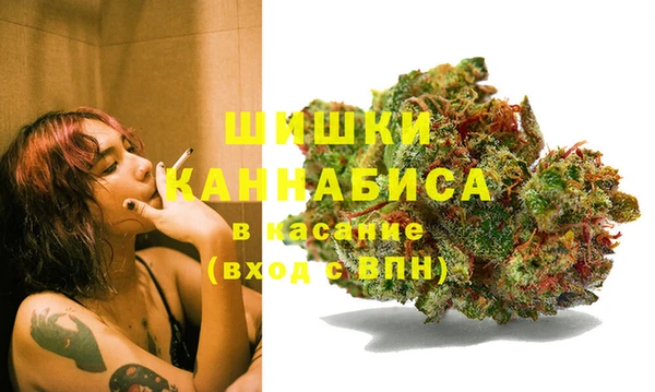 амф Арсеньев