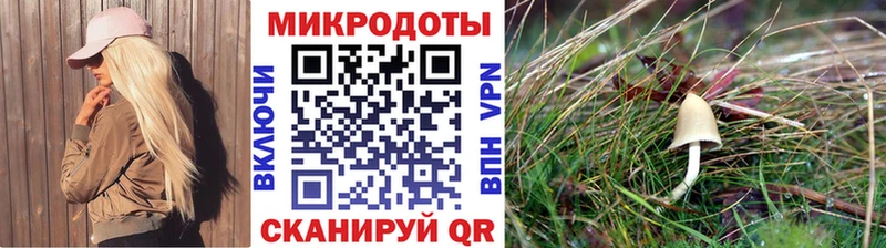 Псилоцибиновые грибы GOLDEN TEACHER  Похвистнево 